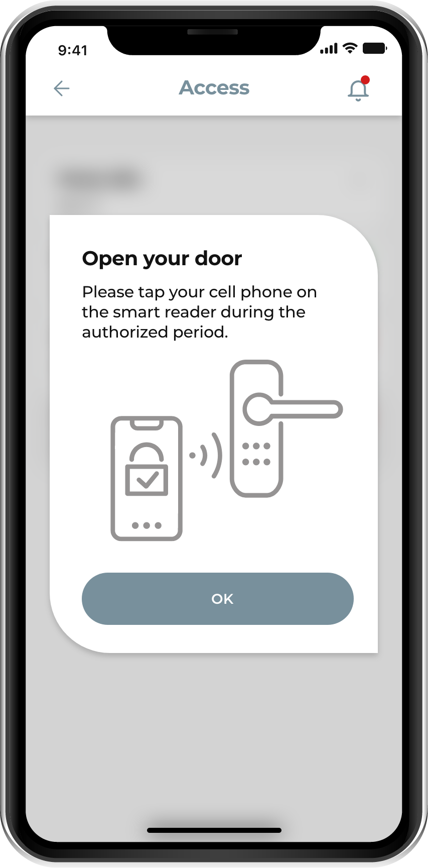iPhone_Access